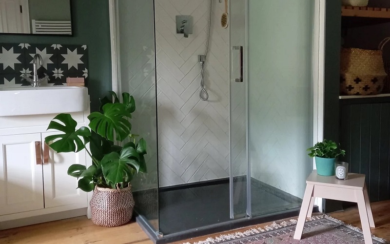 Best Lush Green Houseplants To Keep Near Bathroom Door