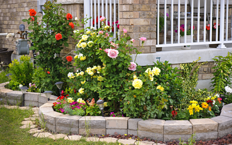 Final Tips for a Hassle-Free Garden