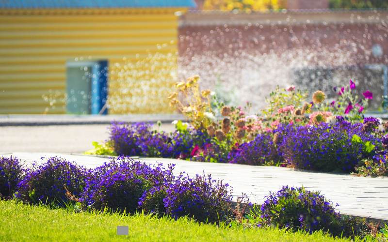 Install Automated Watering