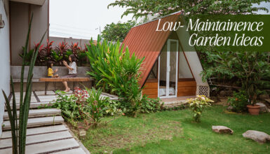 Low-Maintenance Garden Ideas for a Stress-Free Yard