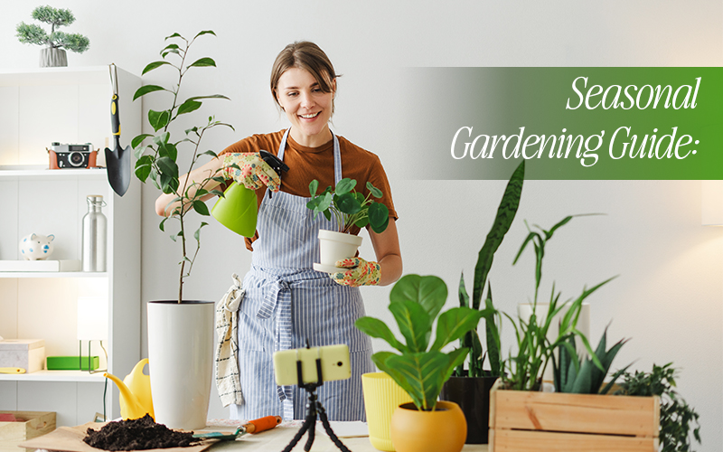 Seasonal Gardening Guide What to Plant - When