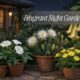 Must-Have Plants for a Fragrant Night Garden